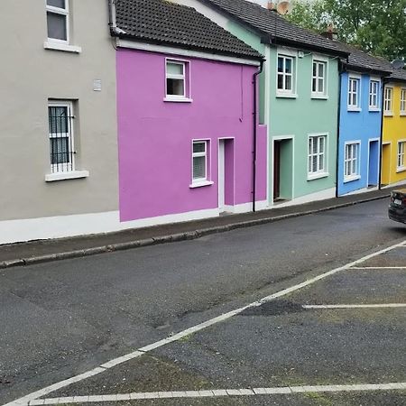 Vila Townhouse 3 Barrow Lane Bagenalstown Exteriér fotografie