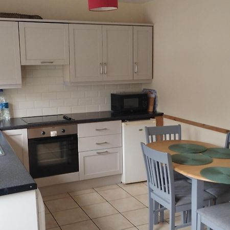 Vila Townhouse 3 Barrow Lane Bagenalstown Exteriér fotografie