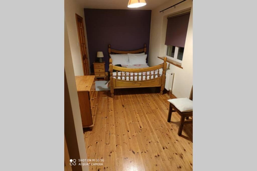 Vila Townhouse 3 Barrow Lane Bagenalstown Exteriér fotografie