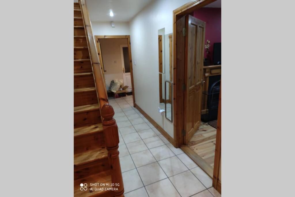 Vila Townhouse 3 Barrow Lane Bagenalstown Exteriér fotografie