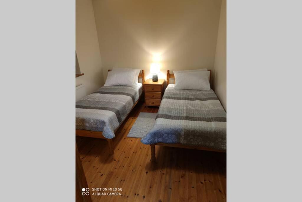 Vila Townhouse 3 Barrow Lane Bagenalstown Exteriér fotografie