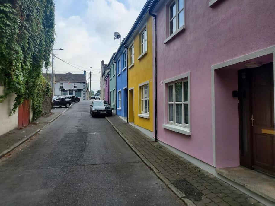 Vila Townhouse 3 Barrow Lane Bagenalstown Exteriér fotografie