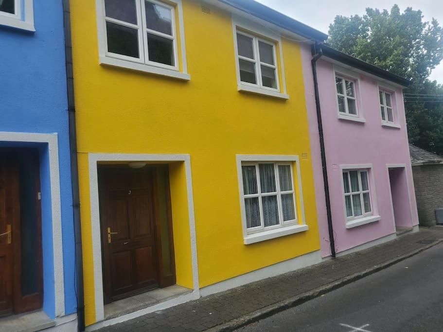 Vila Townhouse 3 Barrow Lane Bagenalstown Exteriér fotografie